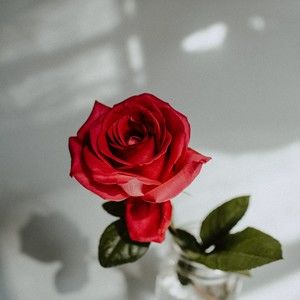 Meet your Posher, Eve